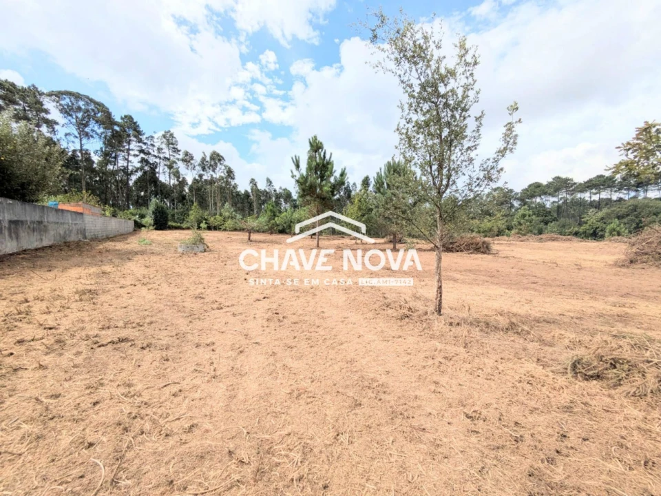Terreno Misto para Venda em Argoncilhe Foto 6
