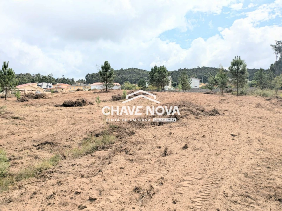 Terreno Misto para Venda em Argoncilhe Foto 8