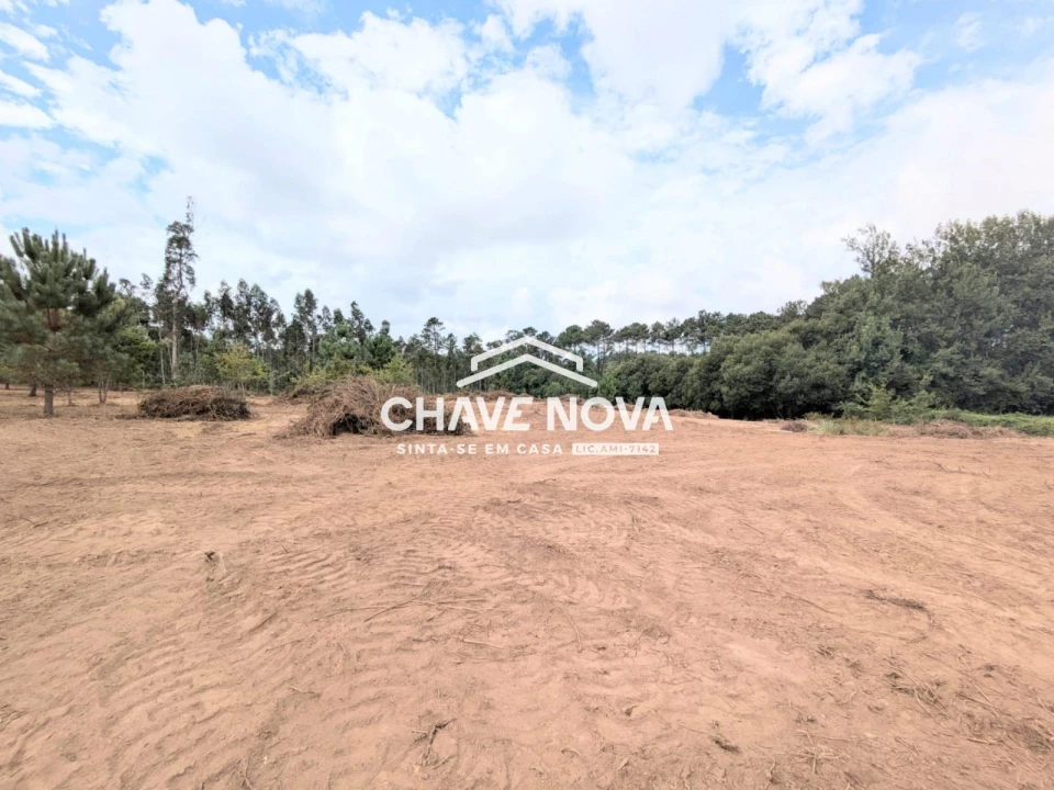 Terreno Misto para Venda em Argoncilhe Foto 9