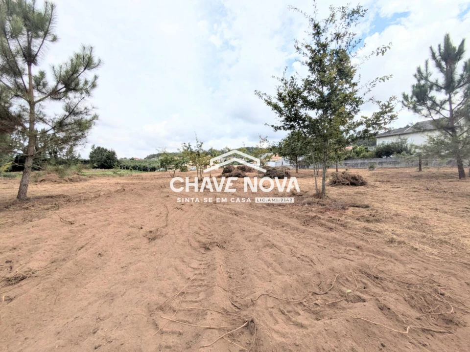 Terreno Misto para Venda em Argoncilhe Foto 11