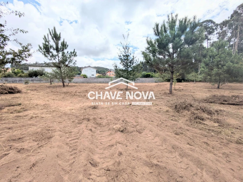 Terreno Misto para Venda em Argoncilhe Foto 12