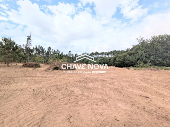 Terreno Misto para Venda em Argoncilhe Foto 9