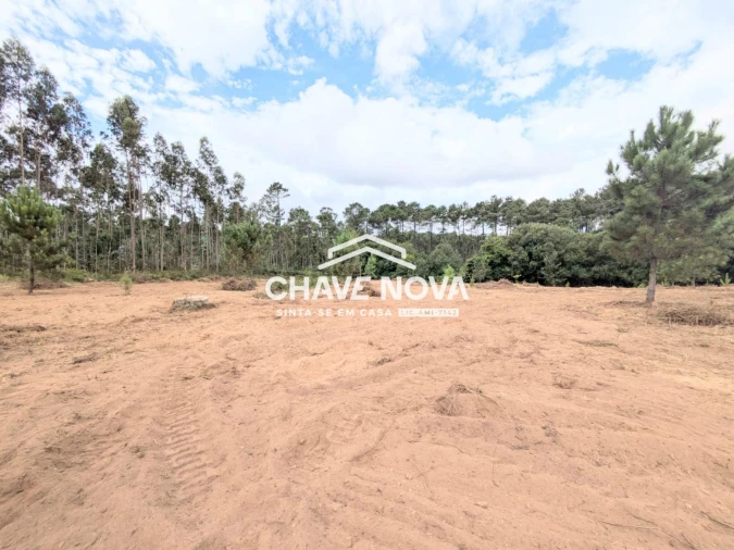 Terreno Misto para Venda em Argoncilhe Foto 10