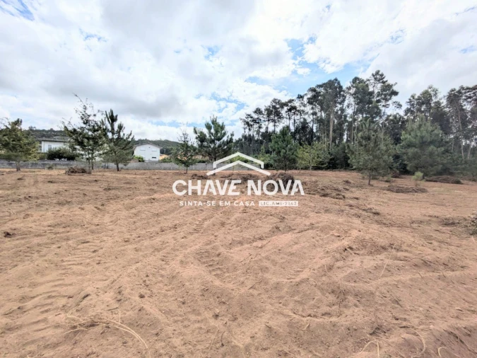 Terreno Misto para Venda em Argoncilhe Foto 15