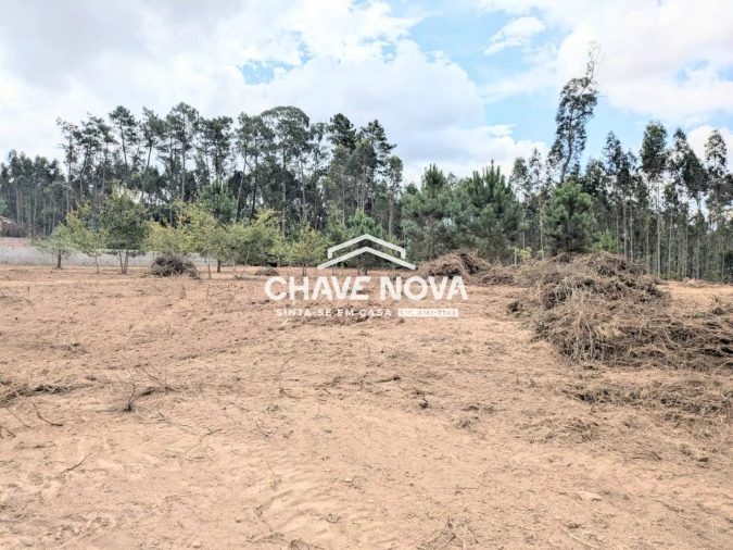 Terreno Misto para Venda em Argoncilhe Foto 19