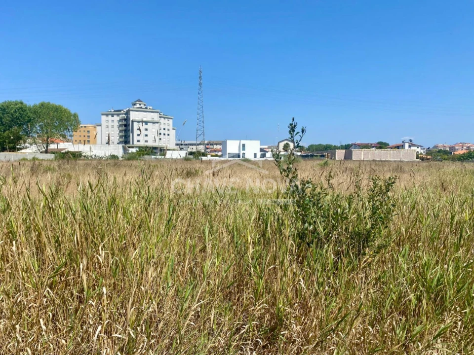 Terreno Agricola ou Rústico para Venda em Esmoriz Foto 3