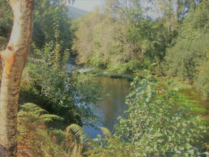 Moradia T6 para Venda em Covas Foto 12