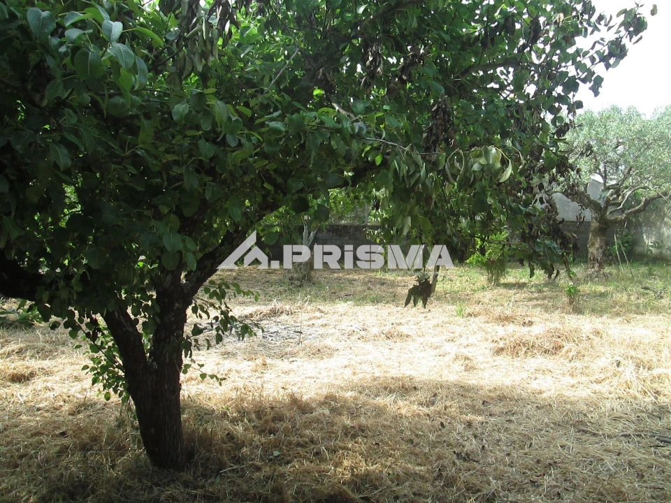 Moradia T2 para Venda em Monfortinho e Salvaterra do Extremo Foto 26