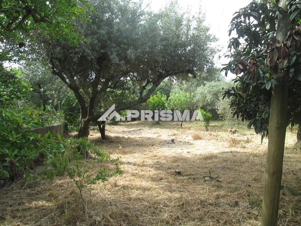 Moradia T2 para Venda em Monfortinho e Salvaterra do Extremo Foto 24