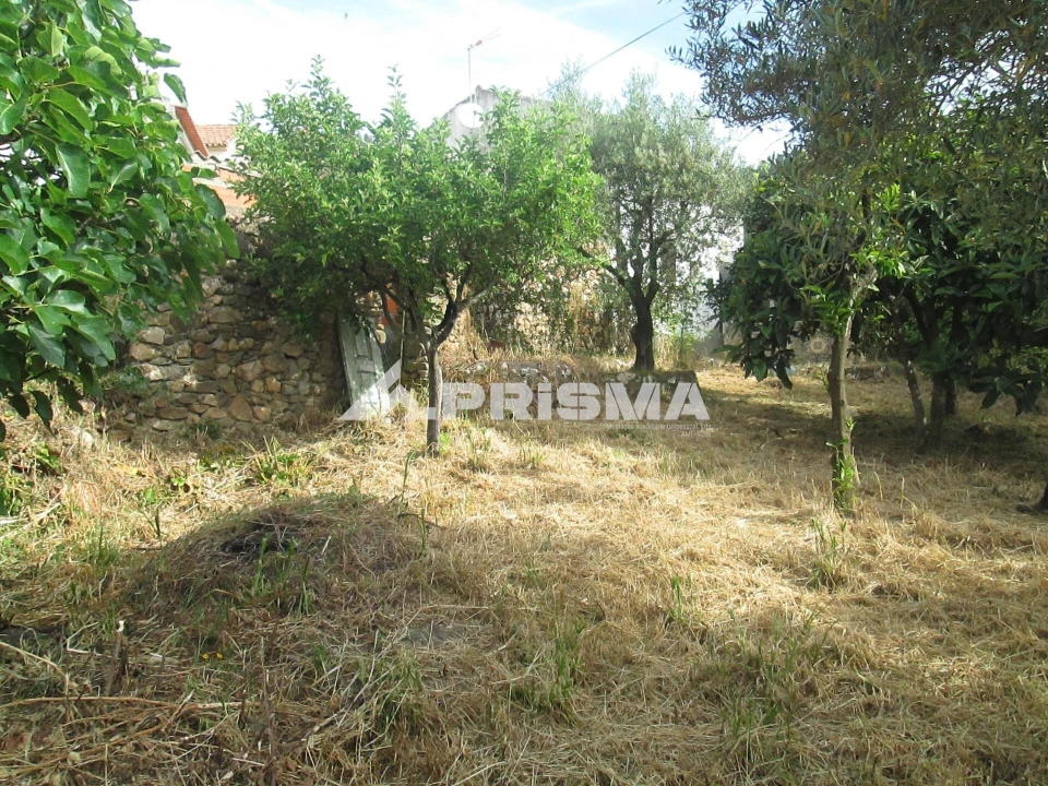 Moradia T2 para Venda em Monfortinho e Salvaterra do Extremo Foto 31