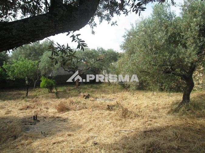 Moradia T2 para Venda em Monfortinho e Salvaterra do Extremo Foto 25