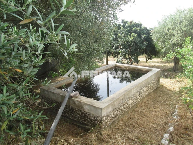 Moradia T2 para Venda em Monfortinho e Salvaterra do Extremo Foto 36