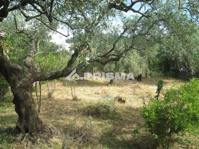 Moradia T2 para Venda em Monfortinho e Salvaterra do Extremo Foto 29