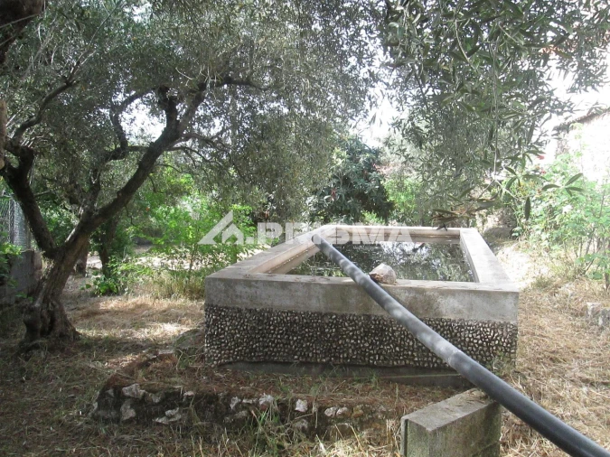 Moradia T2 para Venda em Monfortinho e Salvaterra do Extremo Foto 37