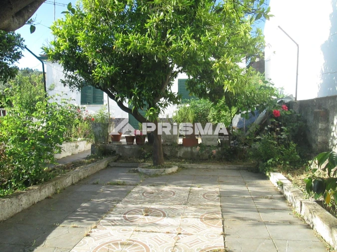 Moradia T3 para Venda em Monfortinho e Salvaterra do Extremo Foto 8