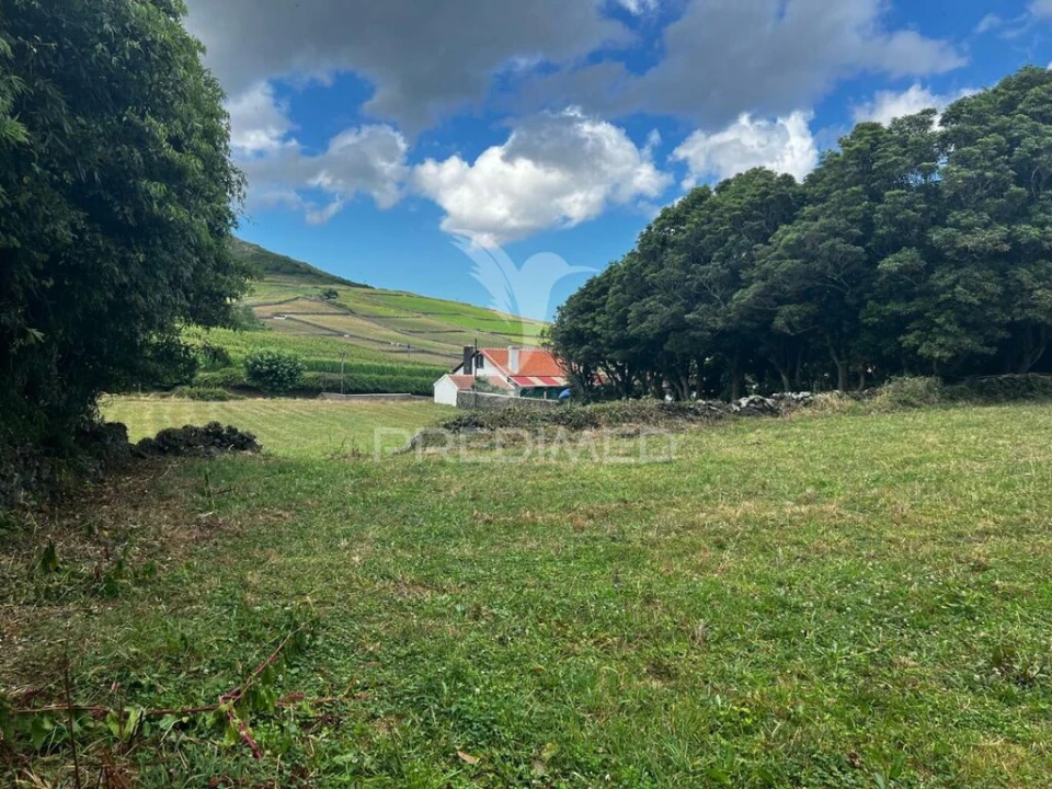 Terreno para Venda em Fonte do Bastardo Foto 14