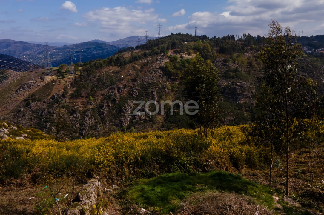 Terreno para Venda em Ruivães e Campos Foto 4