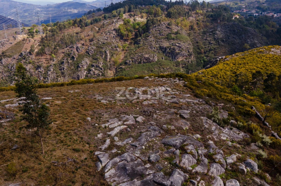 Terreno para Venda em Ruivães e Campos Foto 9