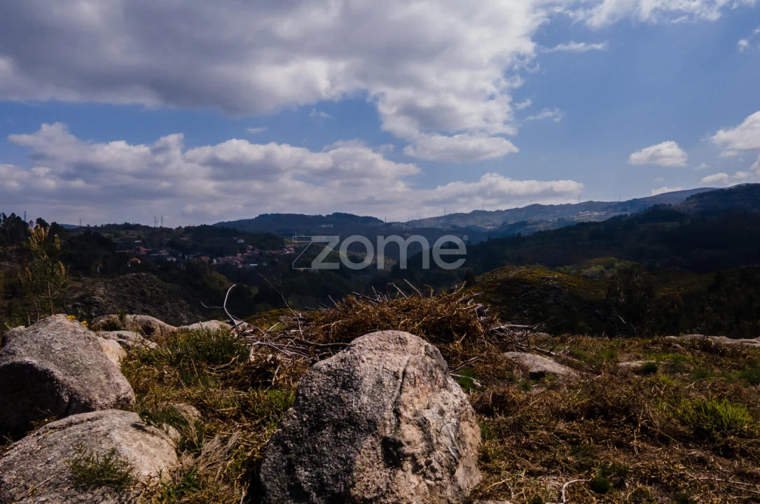 Terreno para Venda em Ruivães e Campos Foto 10