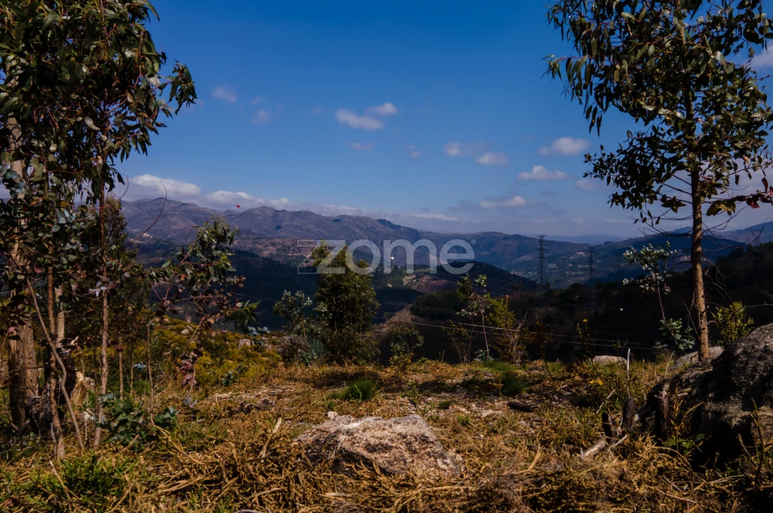 Terreno para Venda em Ruivães e Campos Foto 12