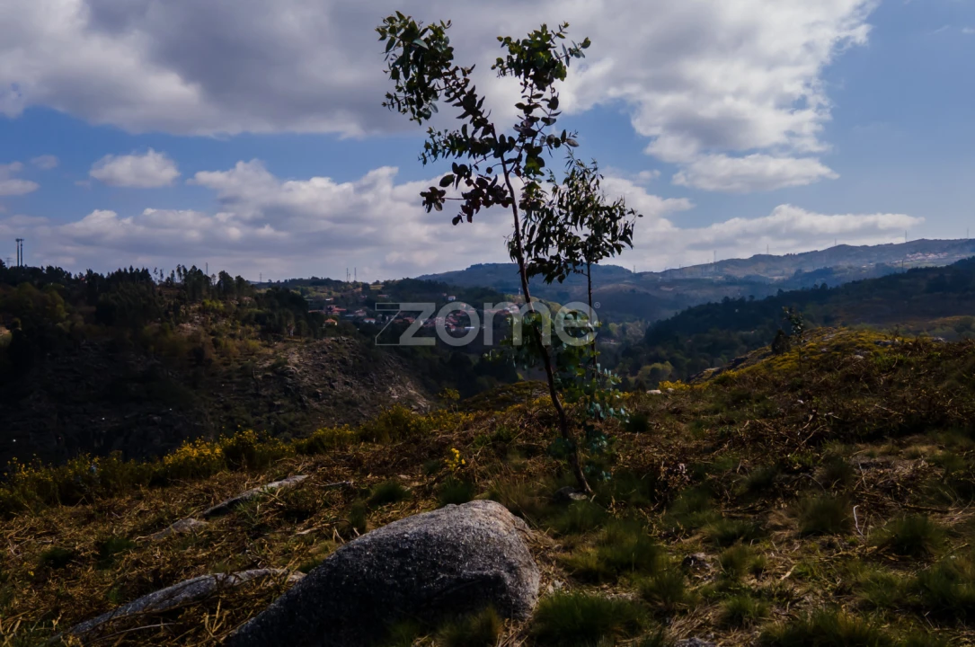 Terreno para Venda em Ruivães e Campos Foto 13