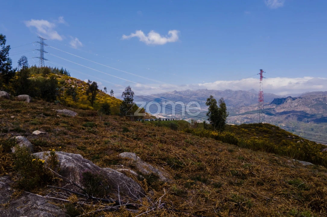 Terreno para Venda em Ruivães e Campos Foto 16