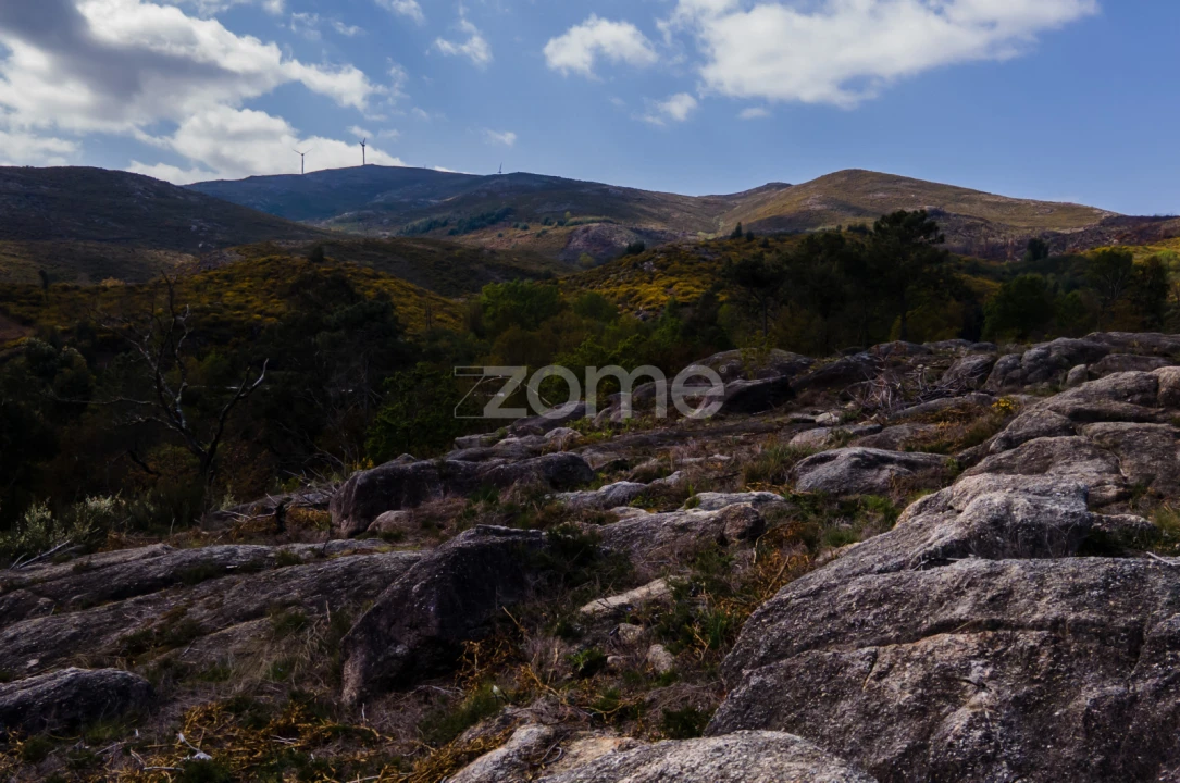 Terreno para Venda em Ruivães e Campos Foto 18