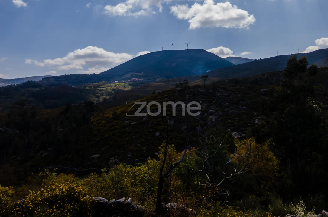 Terreno para Venda em Ruivães e Campos Foto 19