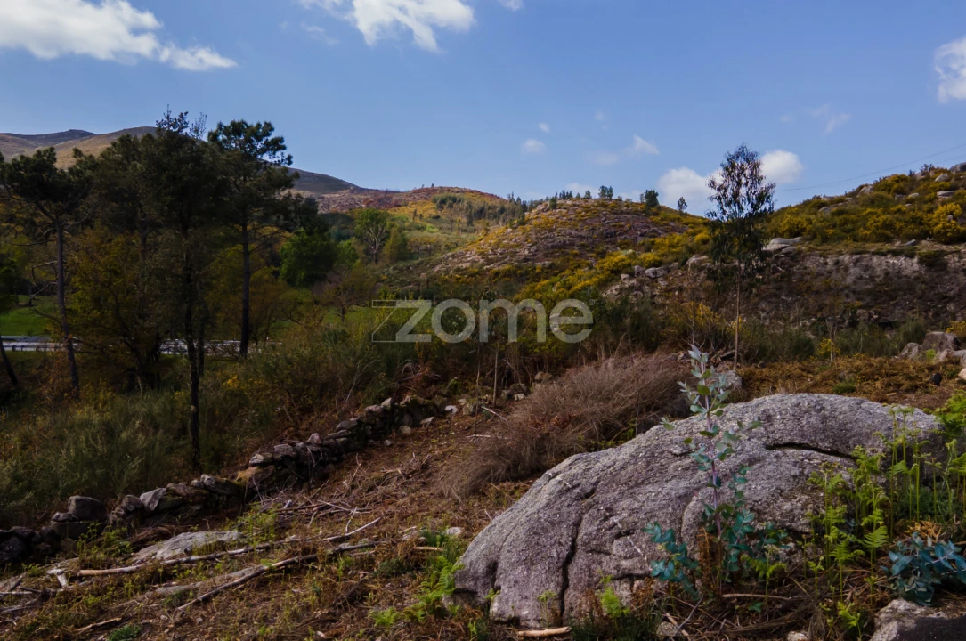 Terreno para Venda em Ruivães e Campos Foto 20
