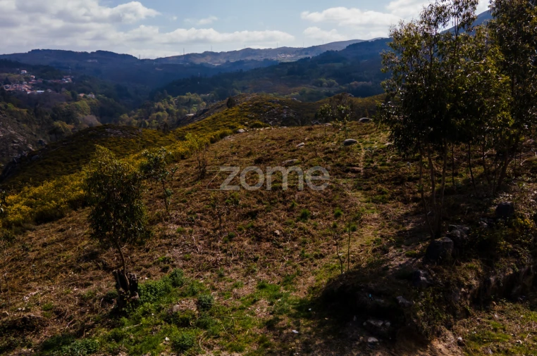 Terreno para Venda em Ruivães e Campos Foto 3