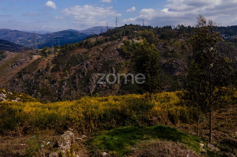 Terreno para Venda em Ruivães e Campos Foto 4