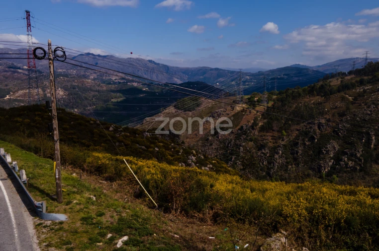 Terreno para Venda em Ruivães e Campos Foto 5