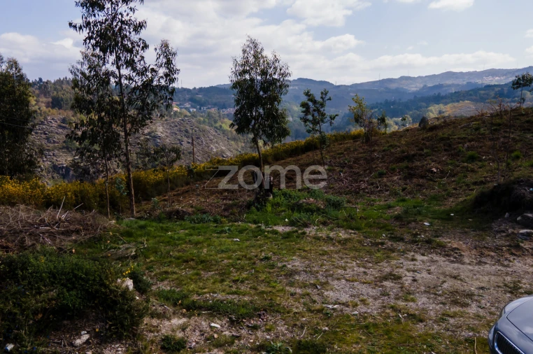 Terreno para Venda em Ruivães e Campos Foto 6