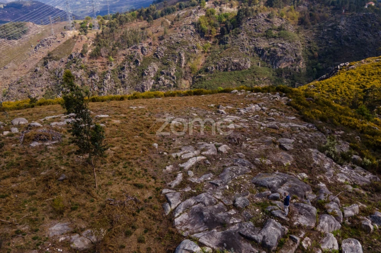 Terreno para Venda em Ruivães e Campos Foto 7
