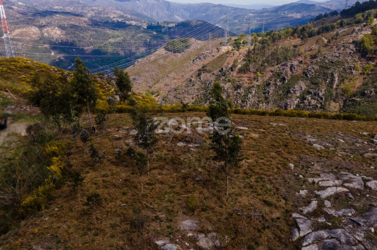Terreno para Venda em Ruivães e Campos Foto 8