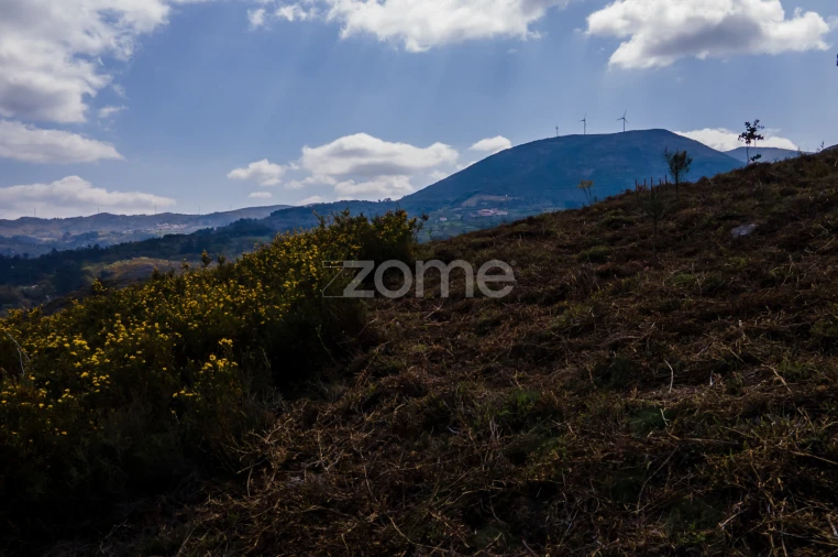 Terreno para Venda em Ruivães e Campos Foto 15