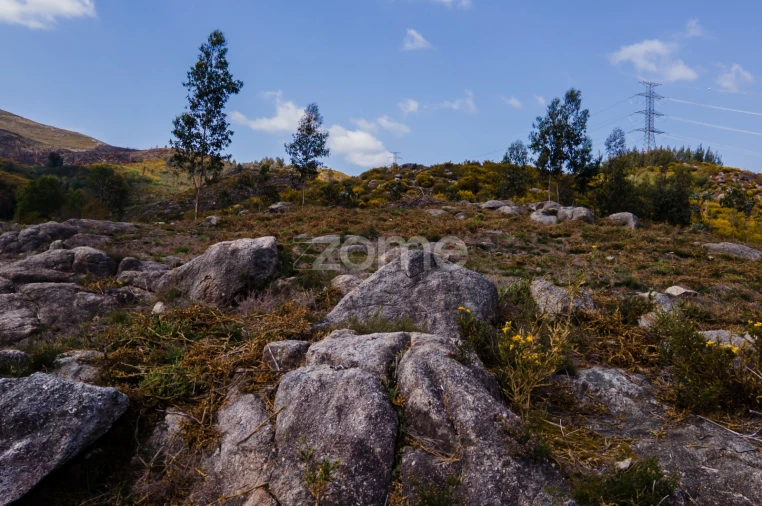 Terreno para Venda em Ruivães e Campos Foto 17