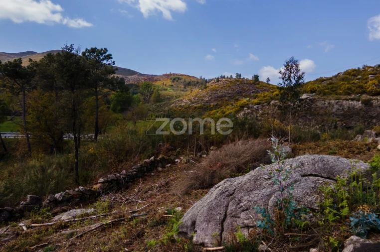 Terreno para Venda em Ruivães e Campos Foto 20