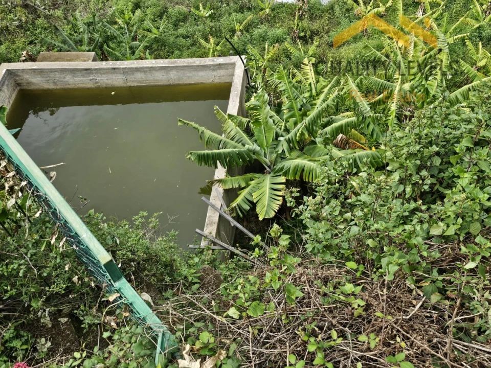 Terreno para Venda em Ponta do Sol Foto 3