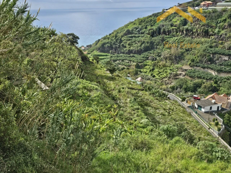 Terreno para Venda em Ponta do Sol Foto 1