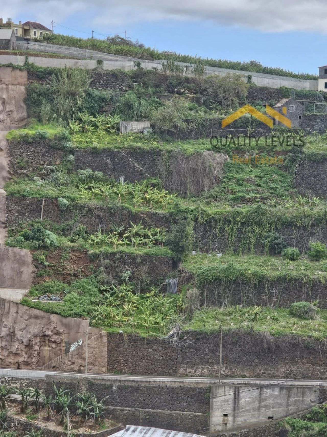 Terreno para Venda em Ponta do Sol Foto 2