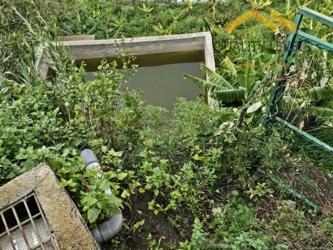Terreno para Venda em Ponta do Sol Foto 4