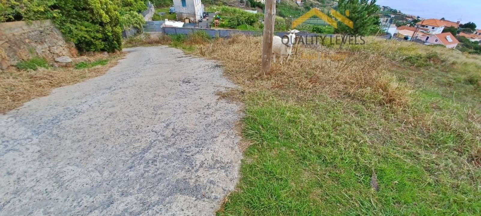 Terreno para Venda em Gaula Foto 9