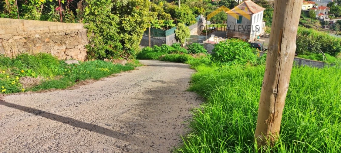 Terreno para Venda em Gaula Foto 5