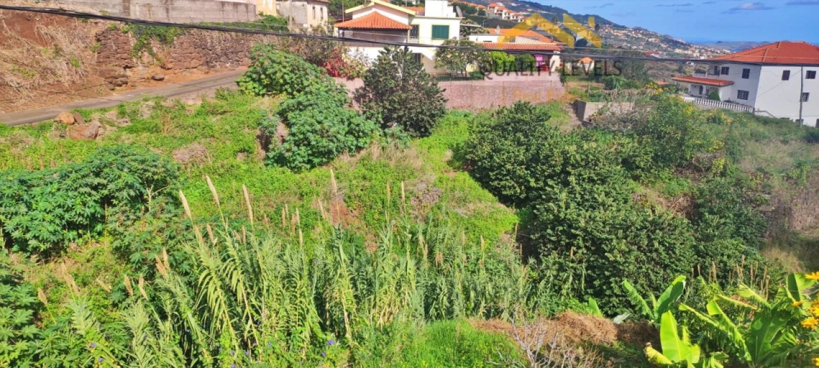 Terreno para Venda em Gaula Foto 4