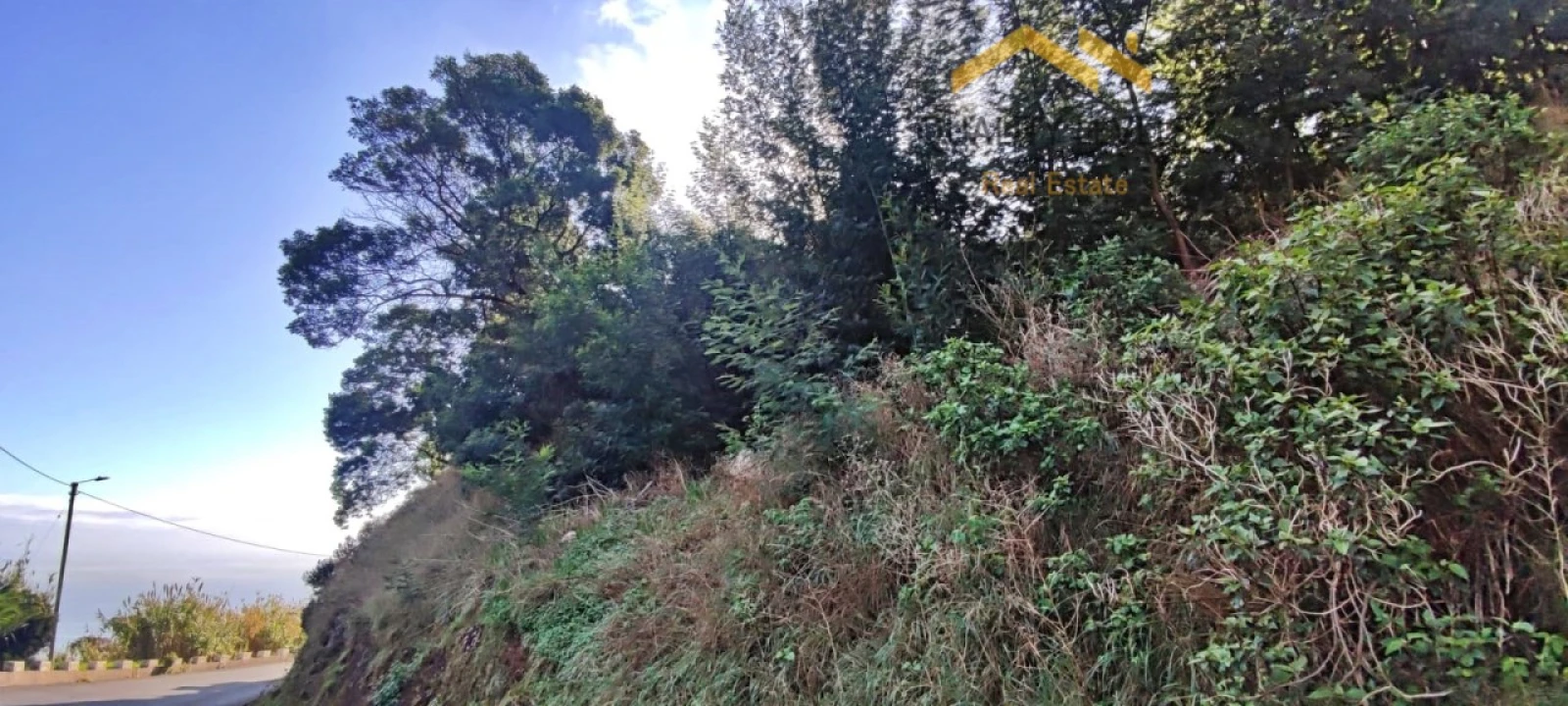 Terreno para Venda em Gaula Foto 4