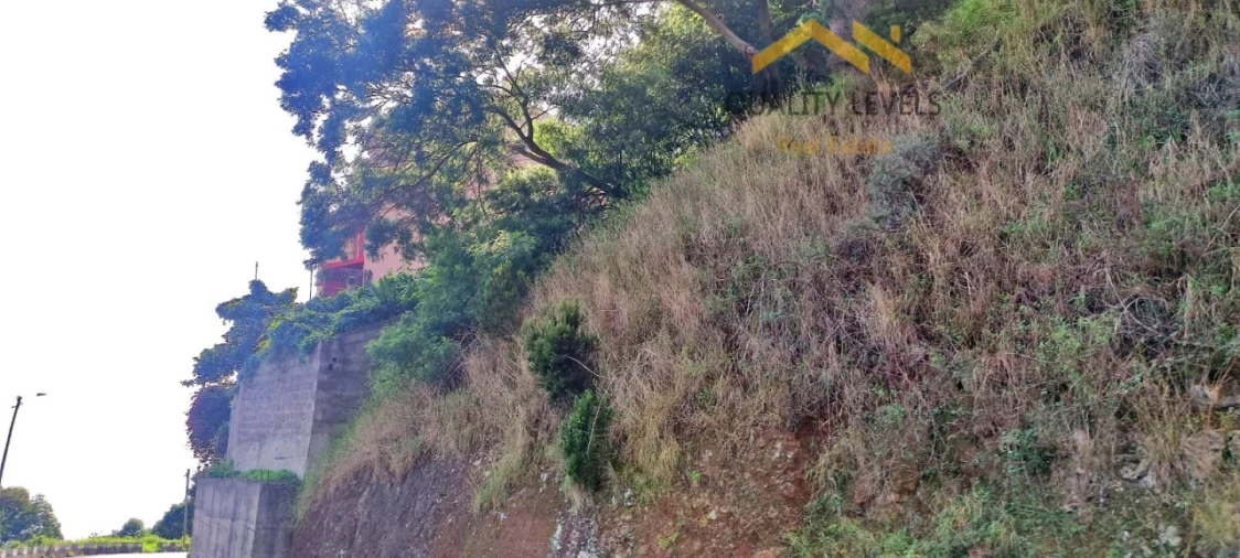 Terreno para Venda em Gaula Foto 3