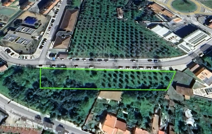Terreno para Venda em Vila Nova da Barquinha