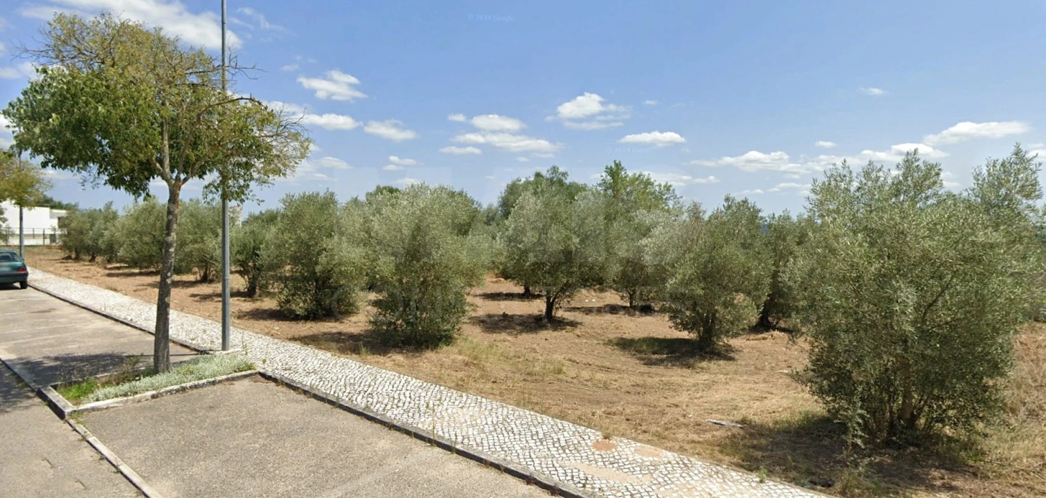 Terreno para Venda em Vila Nova da Barquinha Foto 2