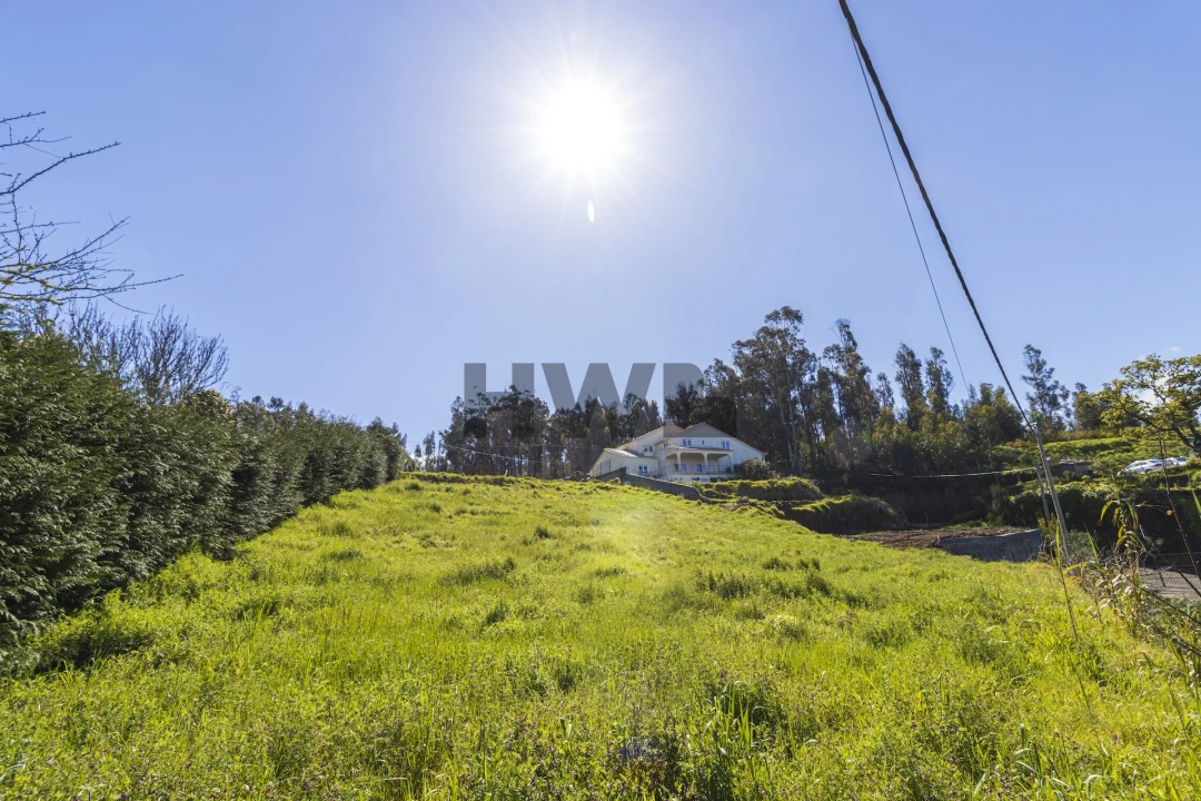 Terreno Agricola ou Rústico para Venda em Ponta do Pargo Foto 10